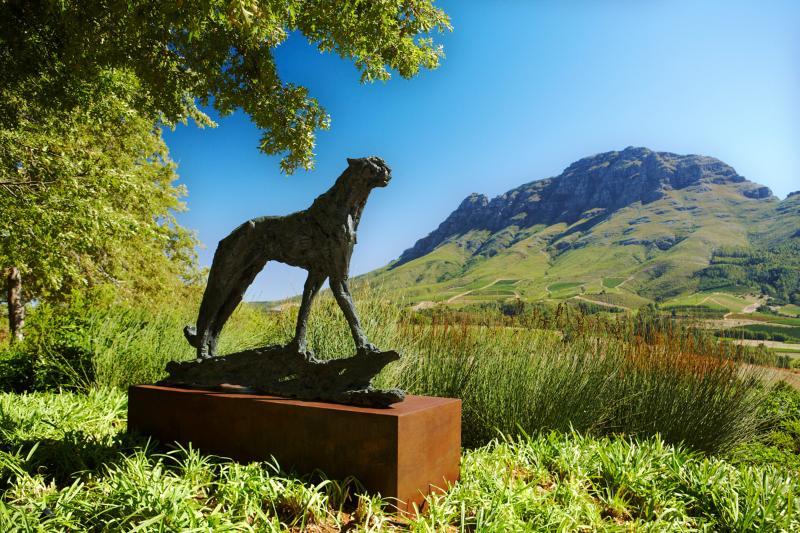 Delaire Graff Lodges And Spa Municipalità locale di Municipalità locale di Stellenbosch Esterno foto